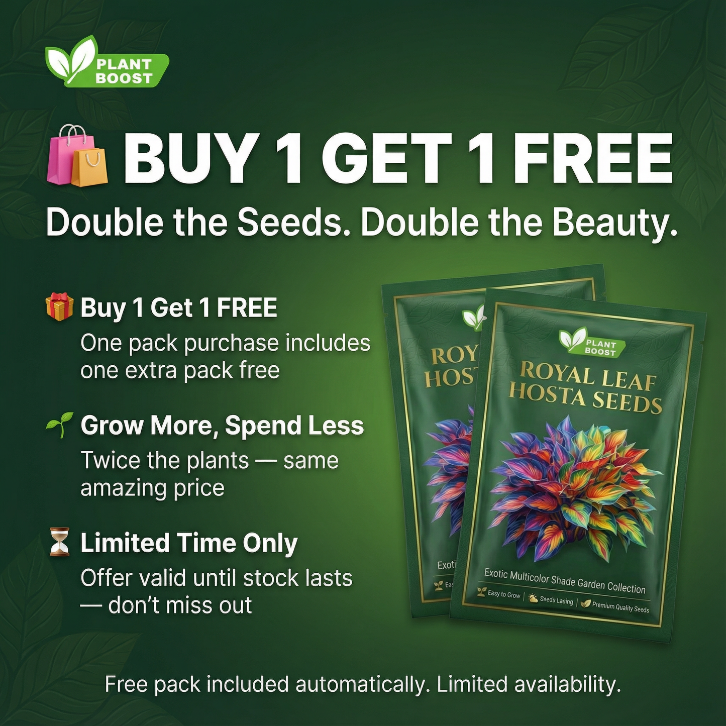 Royal Leaf Hosta Seeds